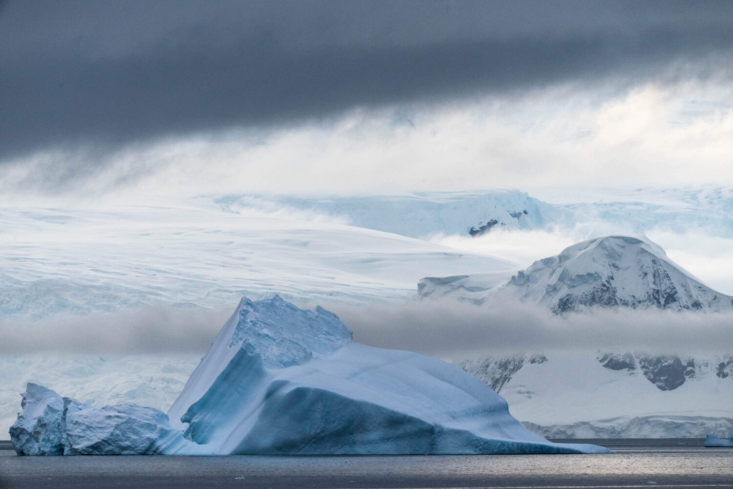 AntarcticaCopyrightFraserMorton DSC8456